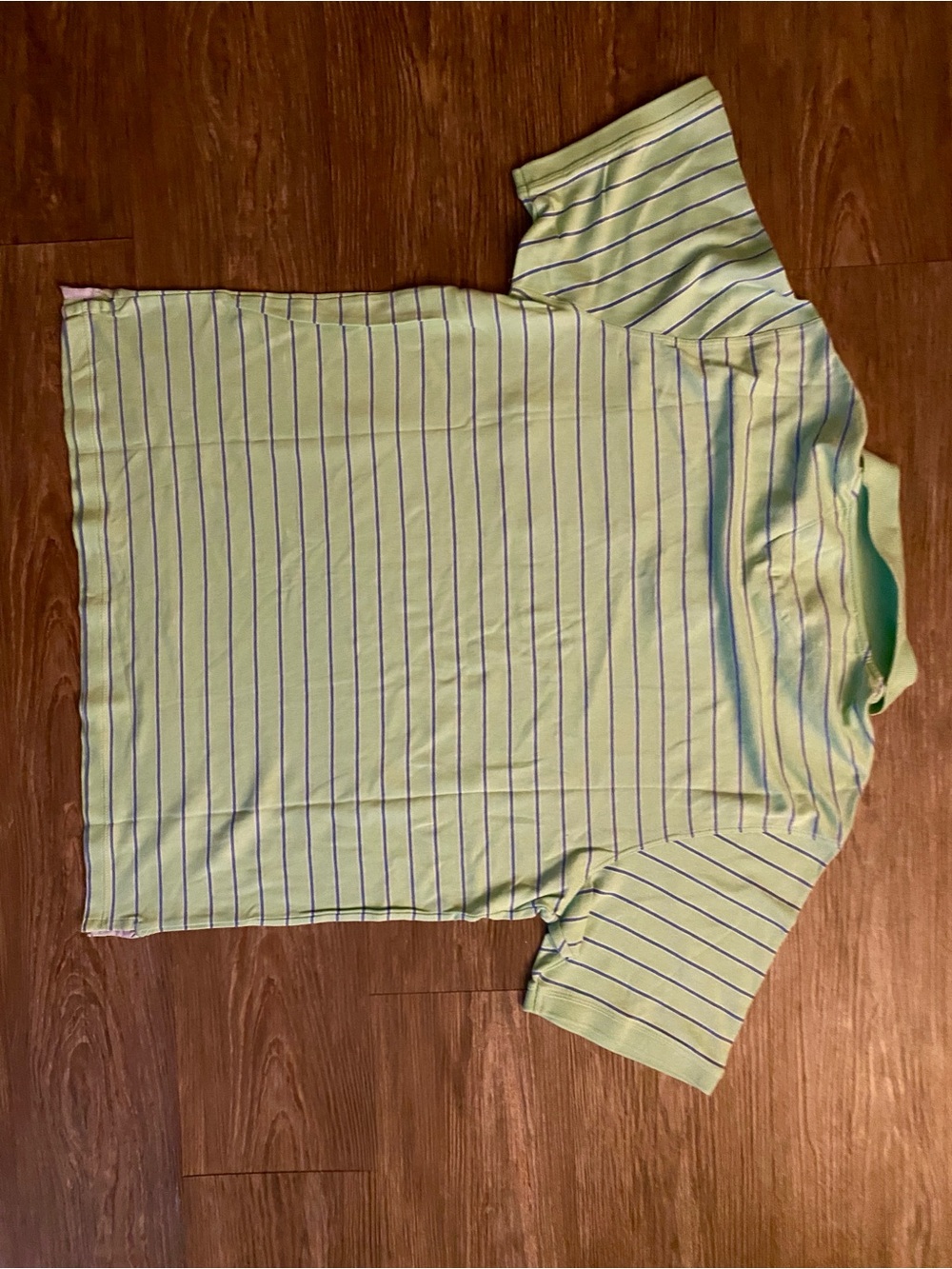 Roundtree & Yorke Light Green Polo with Navy Stripes